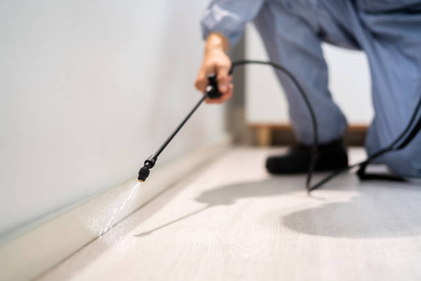 Licensed Pest Control service in Union County County, NJ - Nex Pest Control
