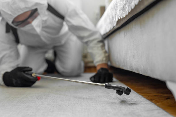 Professional Pest Control technician working in Union County County, NJ